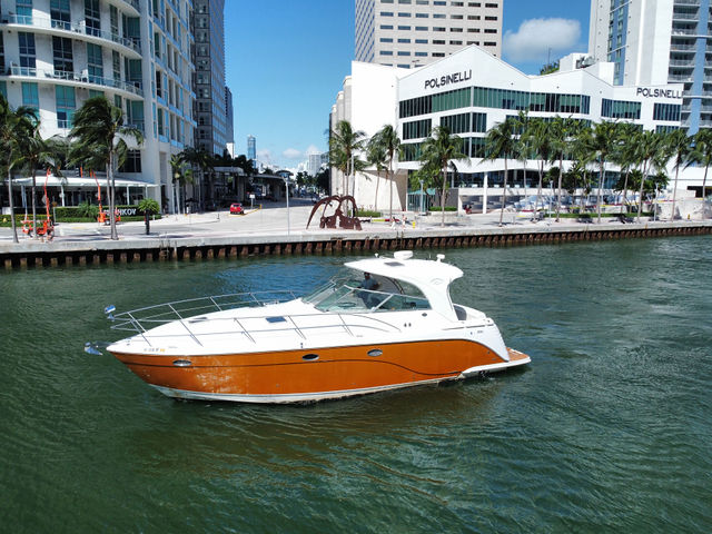 50FT Rinker