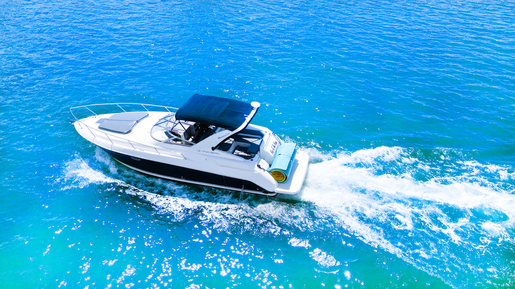 36FT Regal