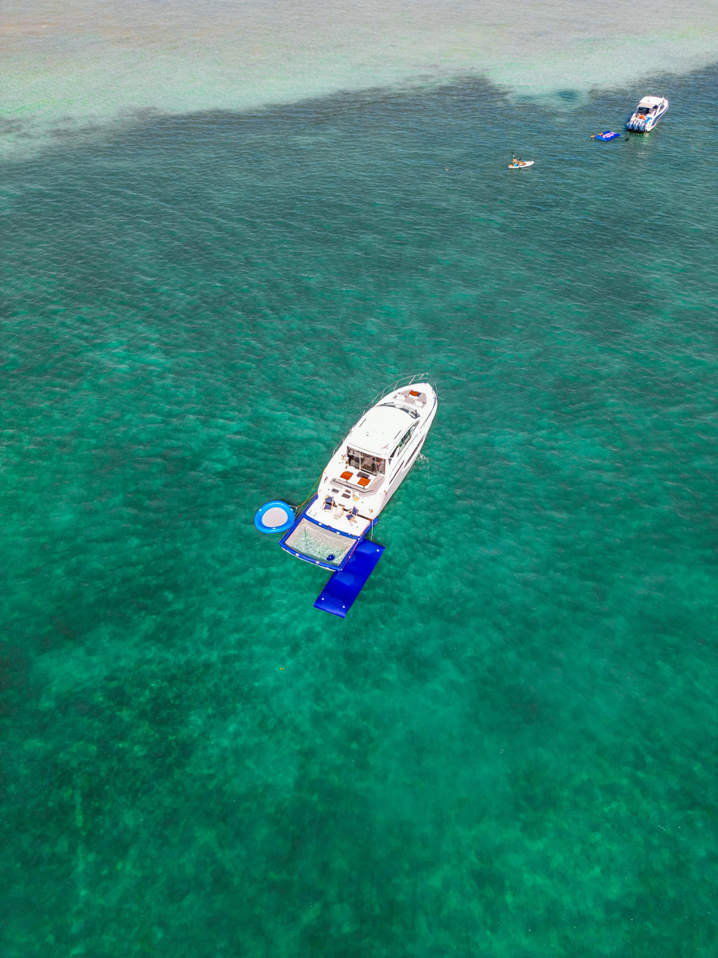 45FT Cantius
