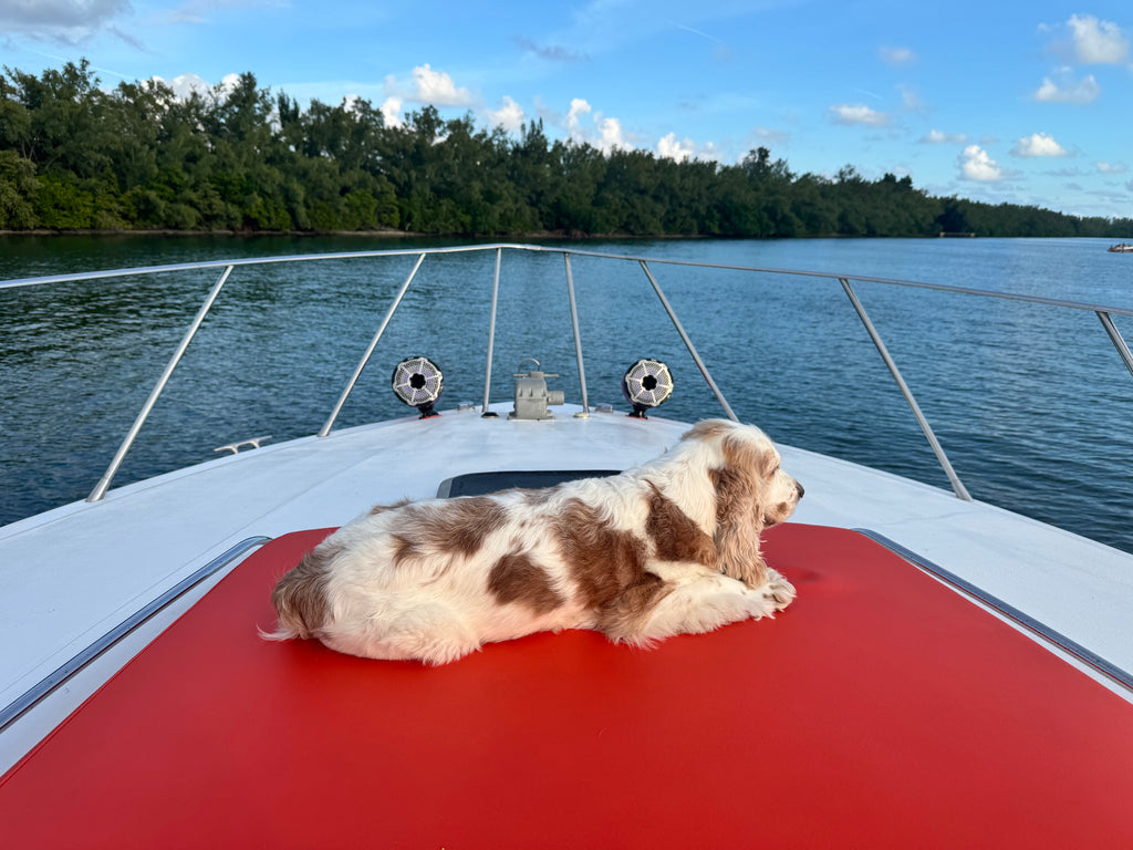 50FT Wellcraft