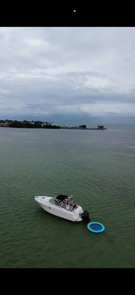 31FT Sea Ray