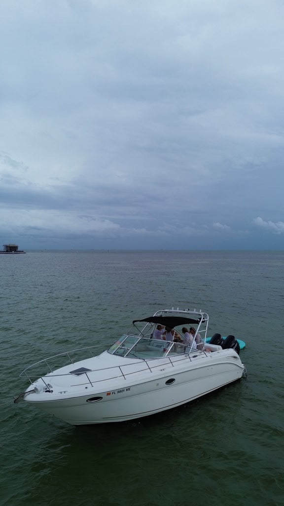 31FT Sea Ray