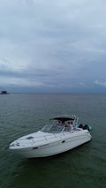 31FT Sea Ray