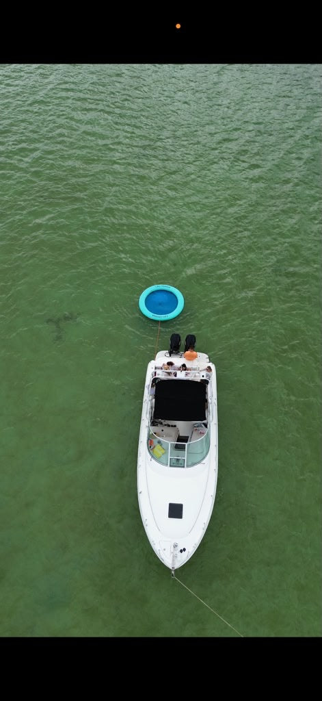 31FT Sea Ray