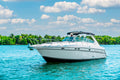 45FT Maxum