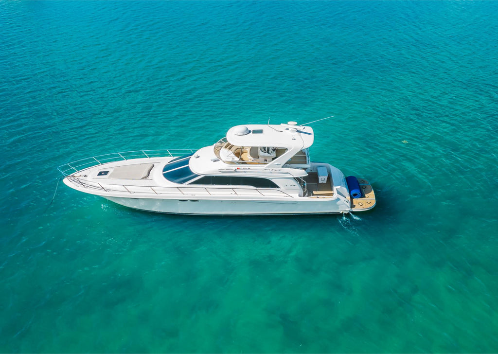 55FT Sea Ray Coast