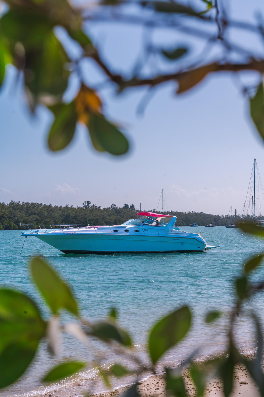 50FT Sea Ray Last Fling