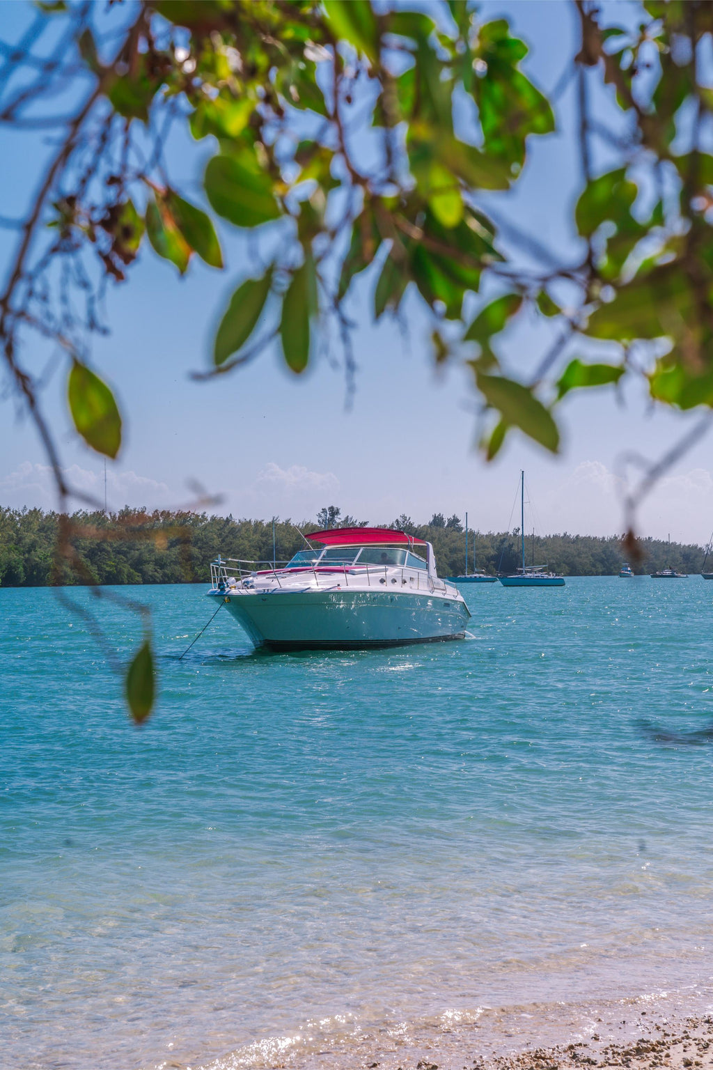 50FT Sea Ray Last Fling