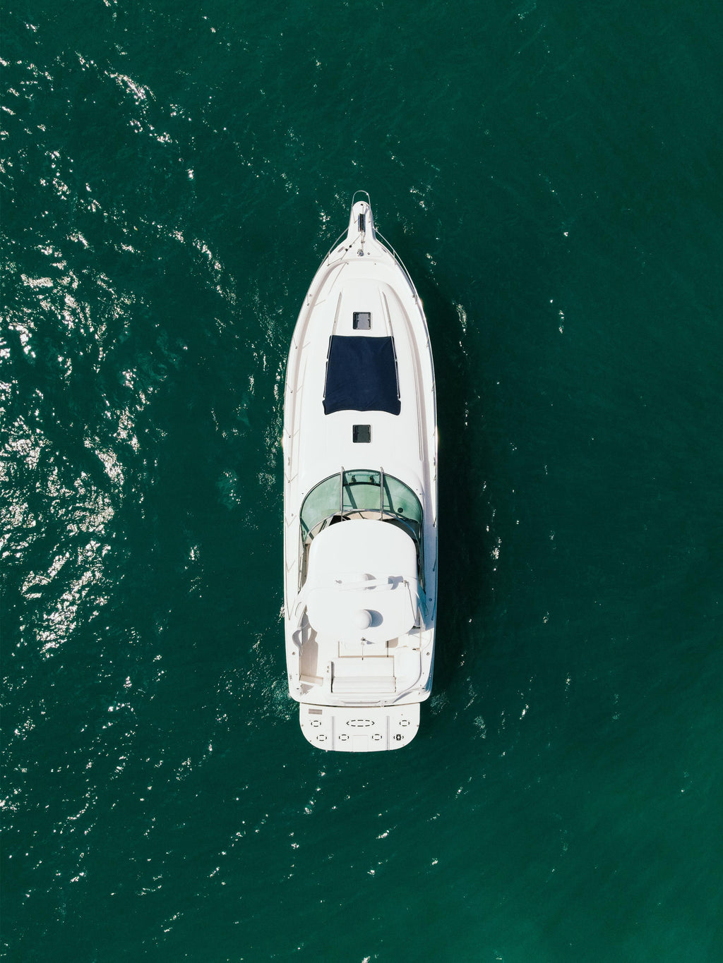50FT Carpe Diem