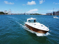 50FT Rinker